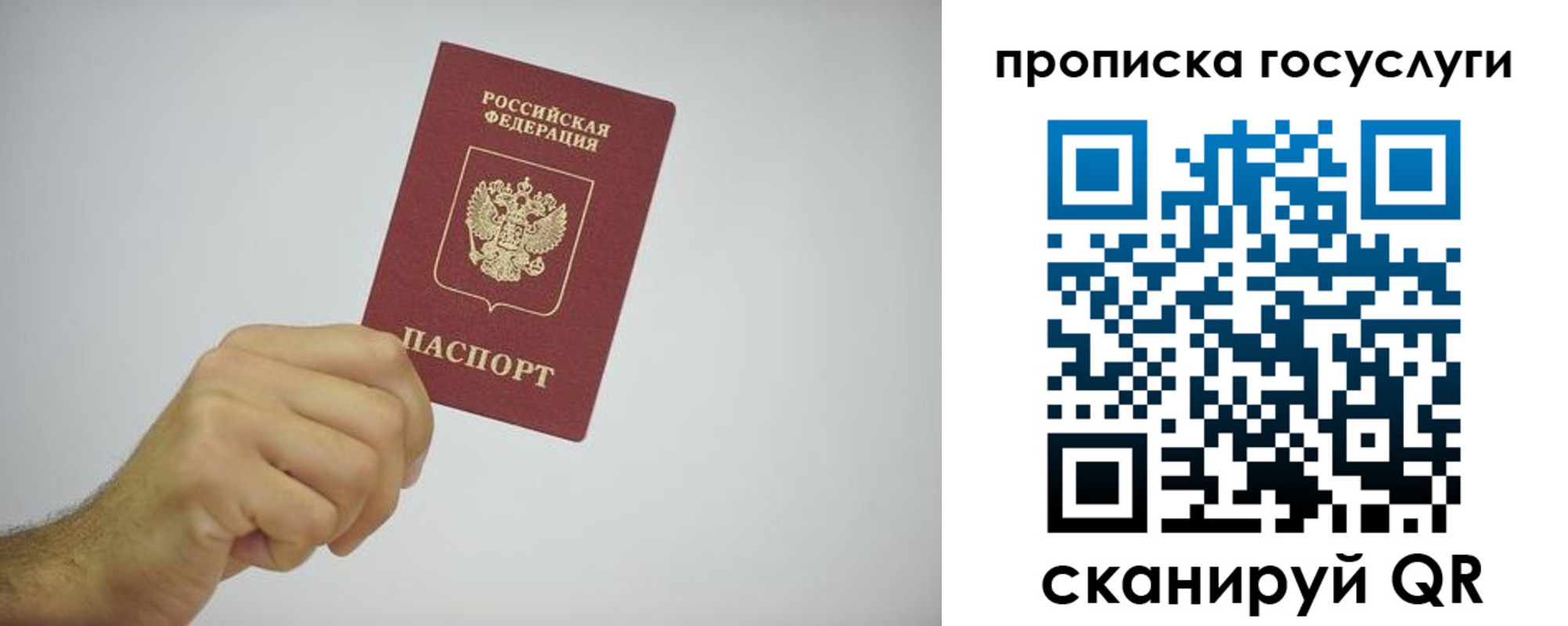 прописка законно в Видном